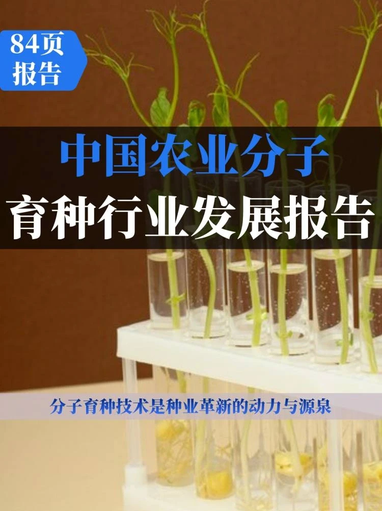 2023年中国农业分子育种行业发展白皮书