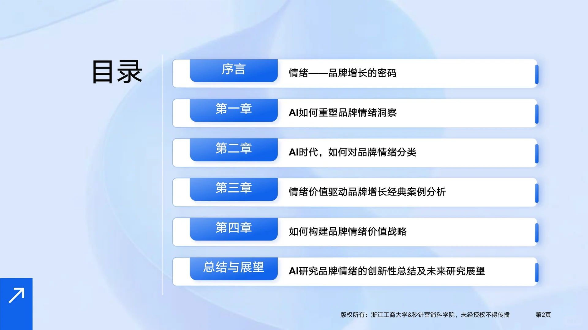 解读2025如何驾驭消费者情绪驱动增长白皮书