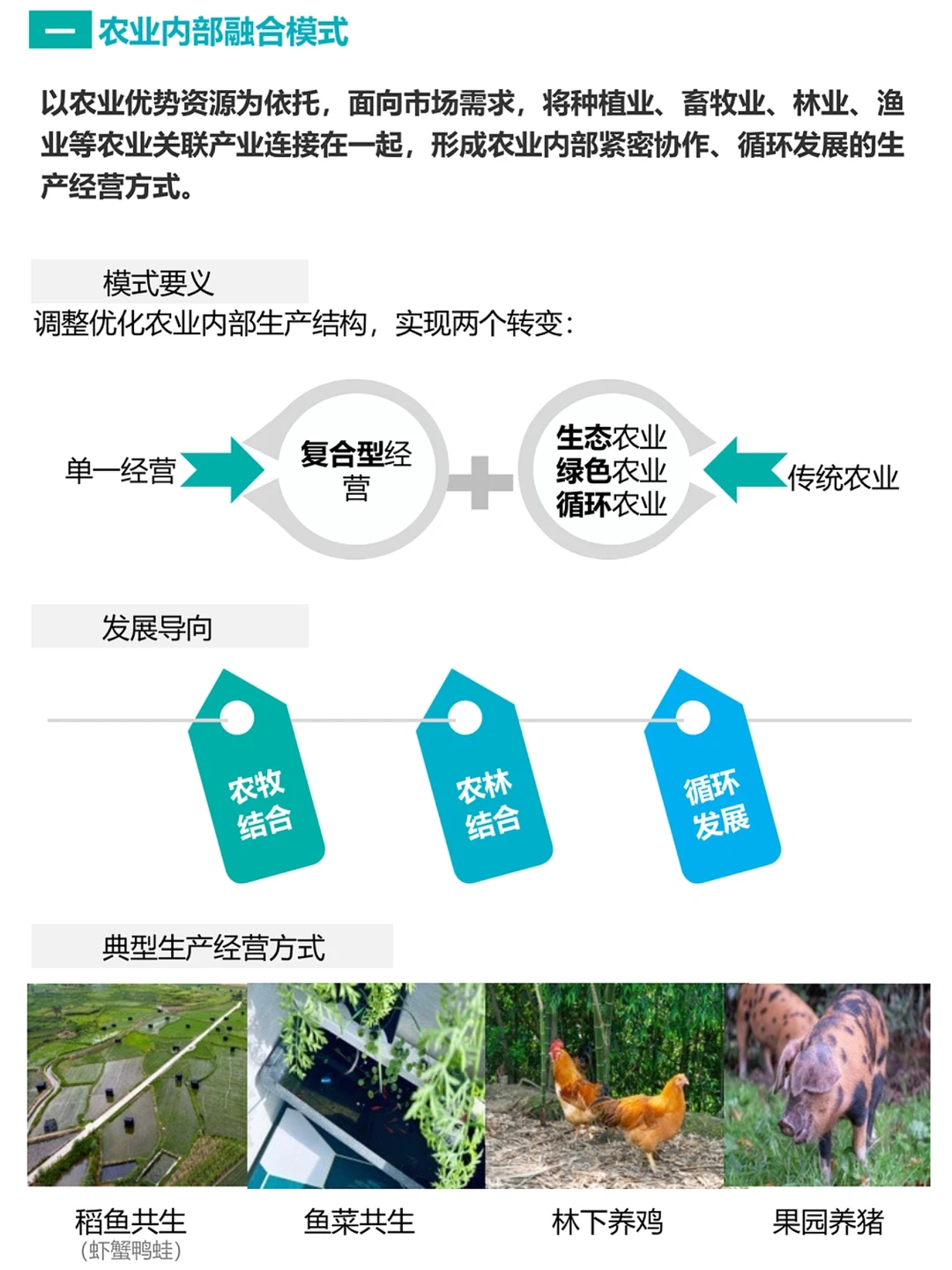 2022年，我国乡村振兴产业融合发展报告