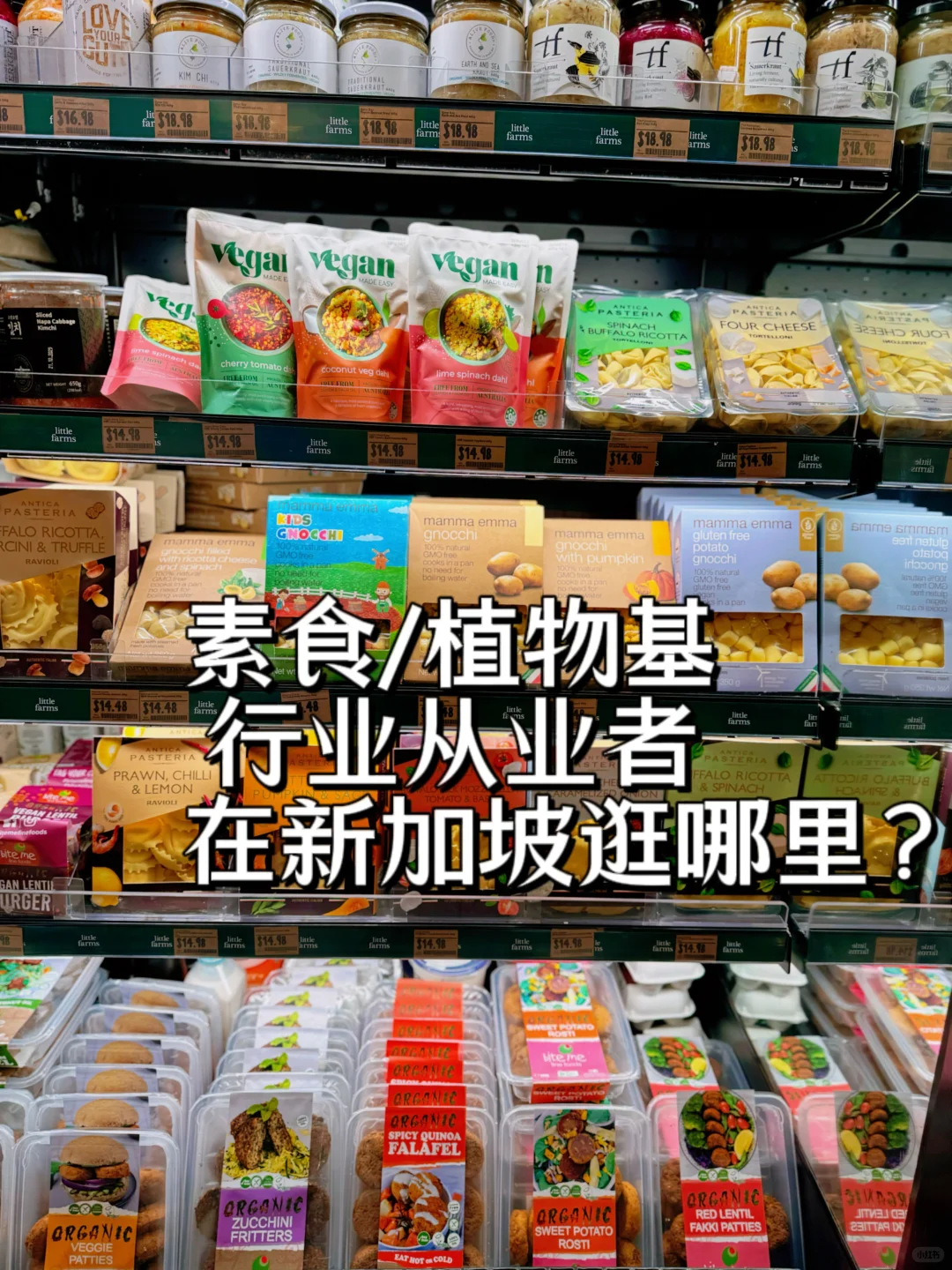 植物基/素食食品行业在新加坡逛什么？看趋势