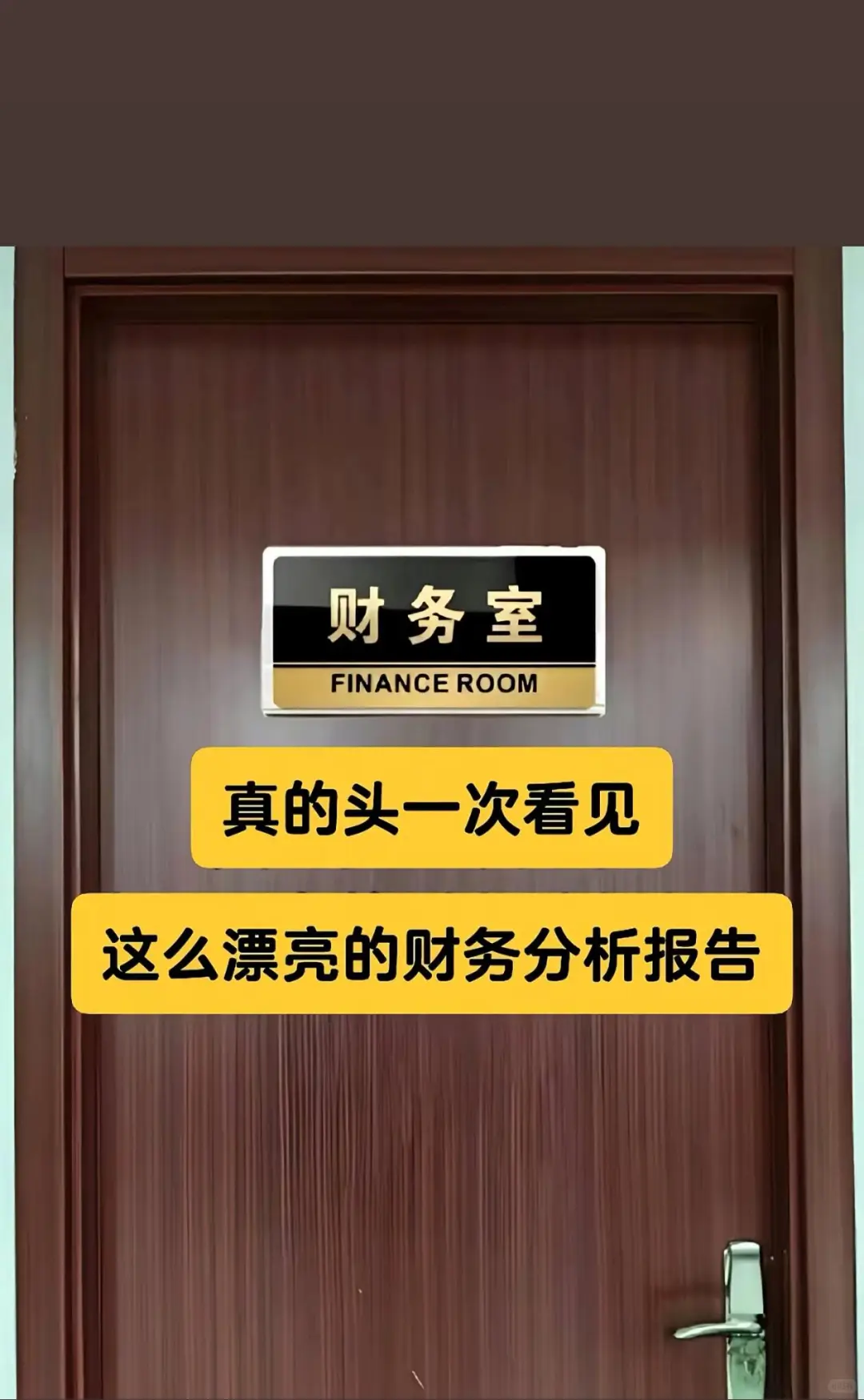 第一次看到这么漂亮的财务分析报告！
