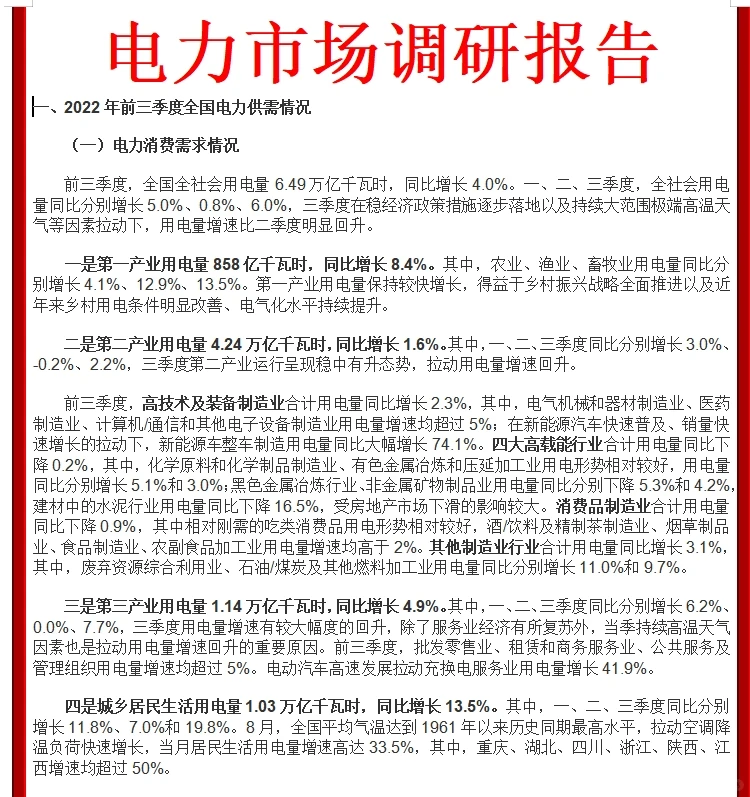 电力市场调研报告
