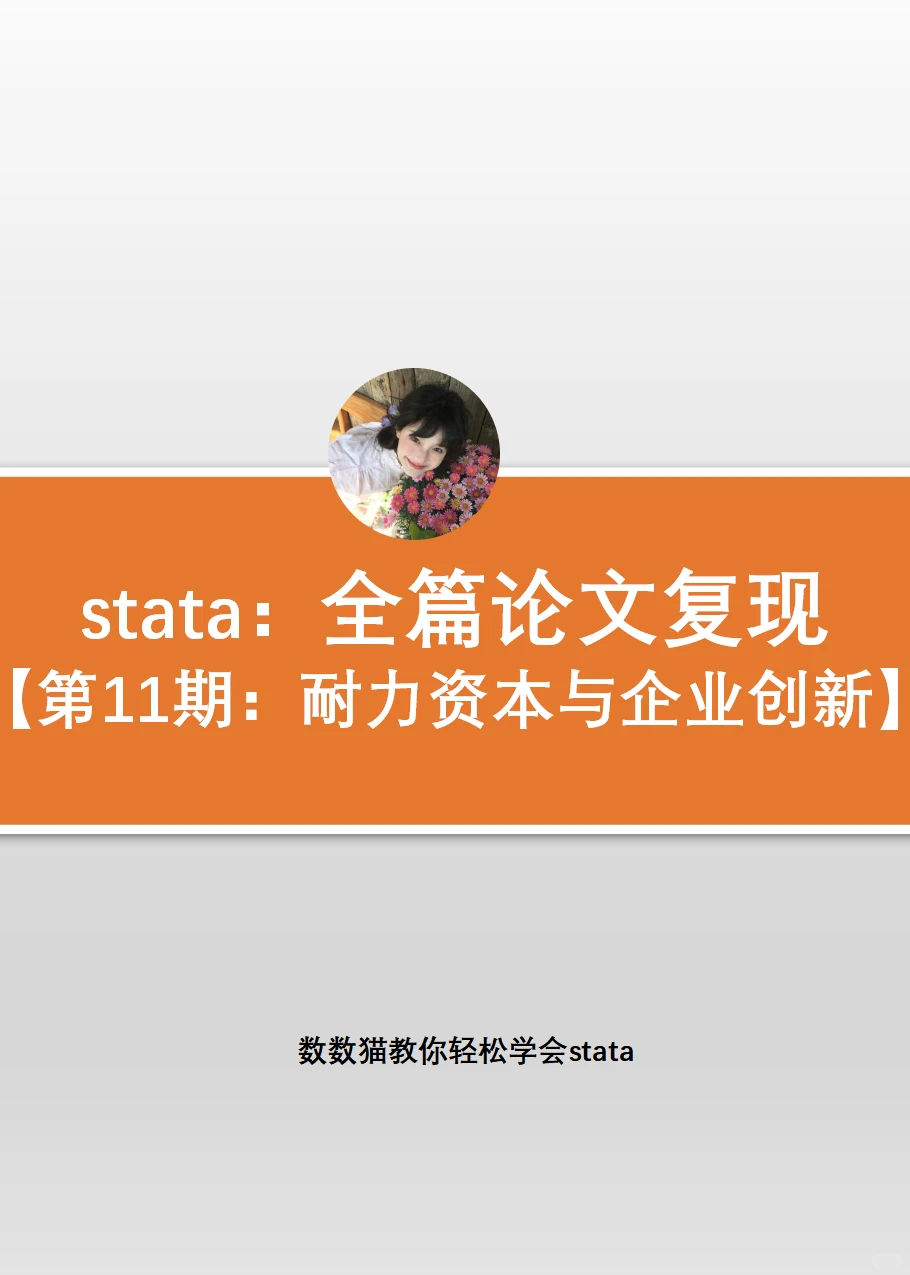 第①篇复现成功！耐力资本与企业创新