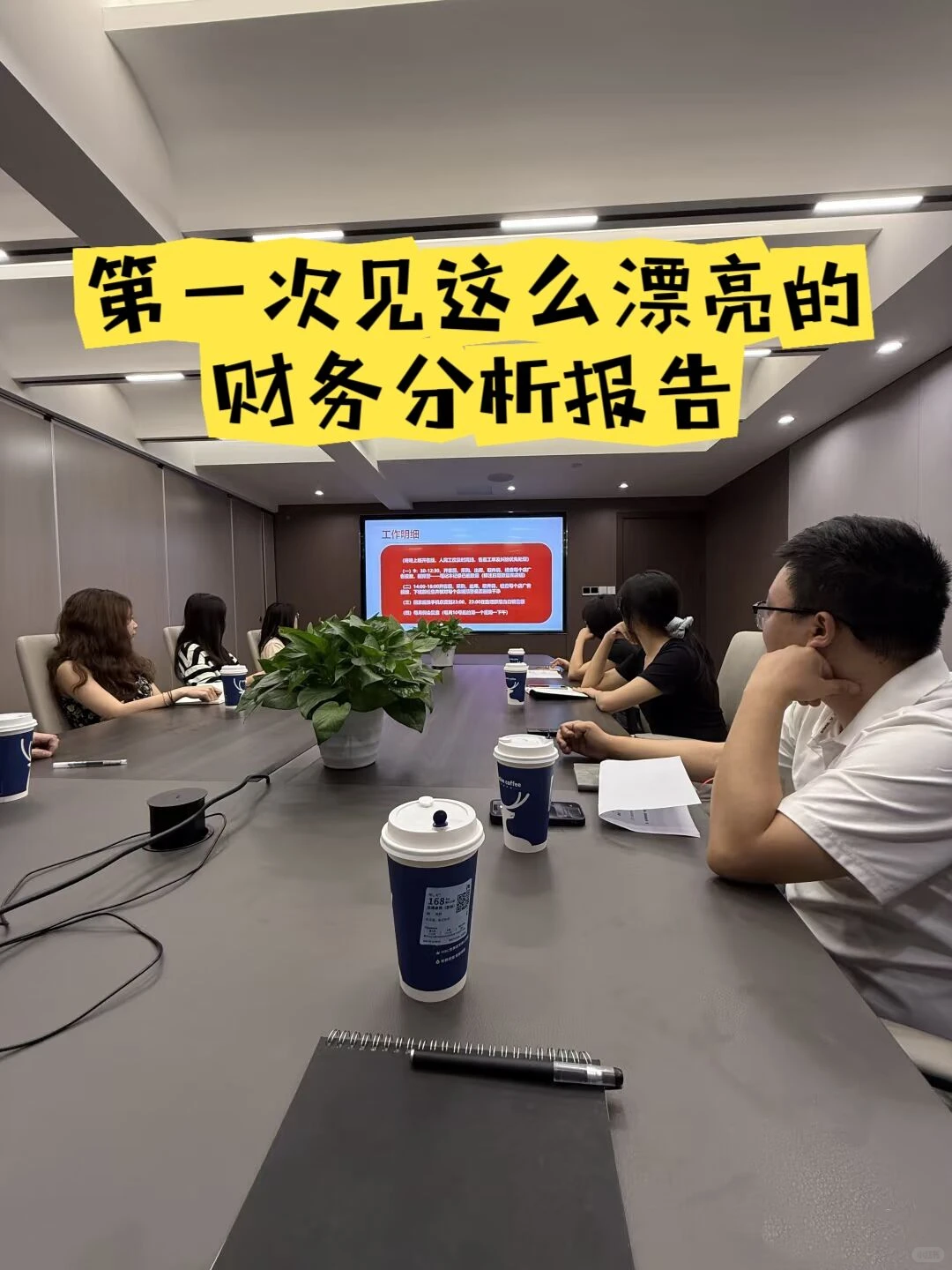 第一次见这么漂亮的财务分析报告