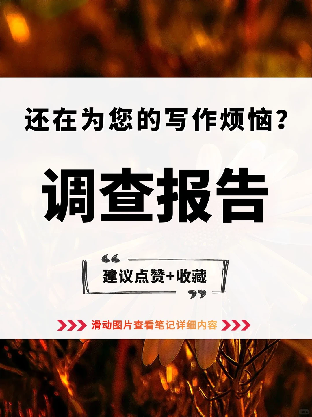 调查报告:大学生互联网使用习惯调查 ?