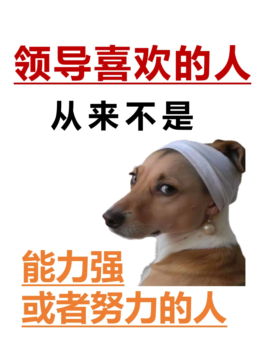 领导最喜欢的,从来不是能力强、努力的人!