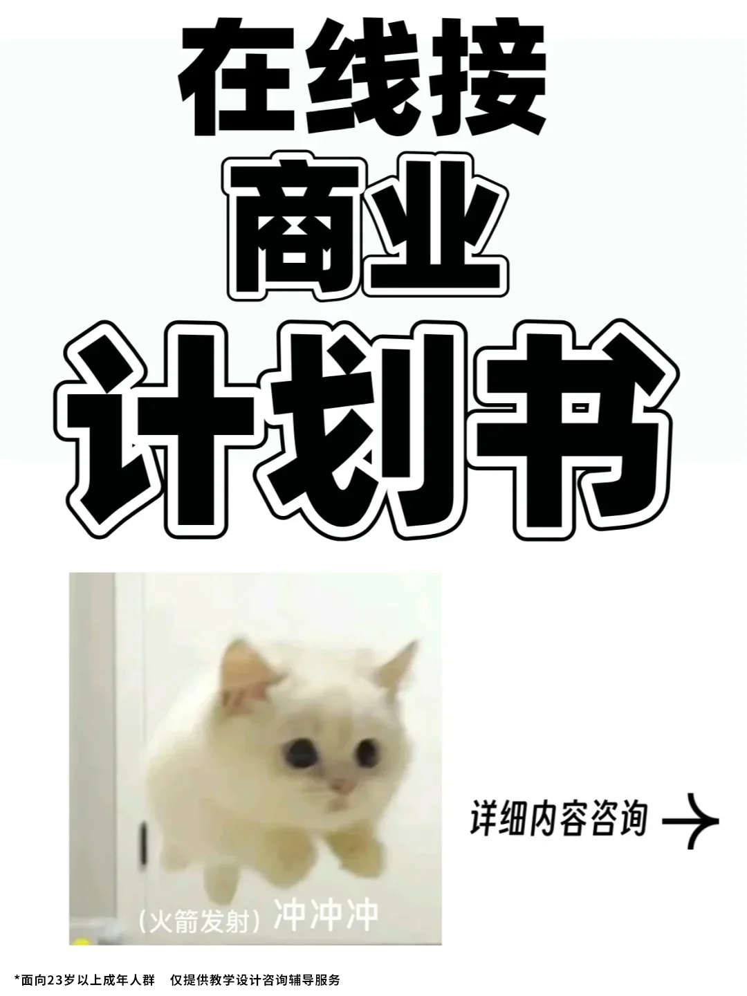 原来商业计划书可以那么专业!立即咨询!!