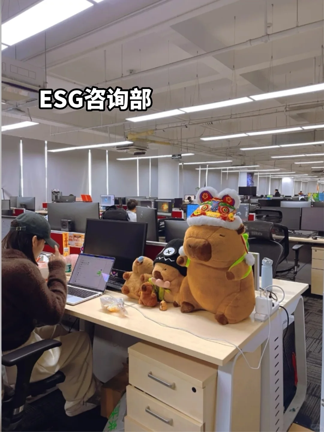来了个ESG新人,基础工具都不会用,人麻了