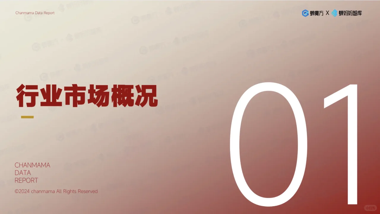 2024韩束品牌拆解报告
