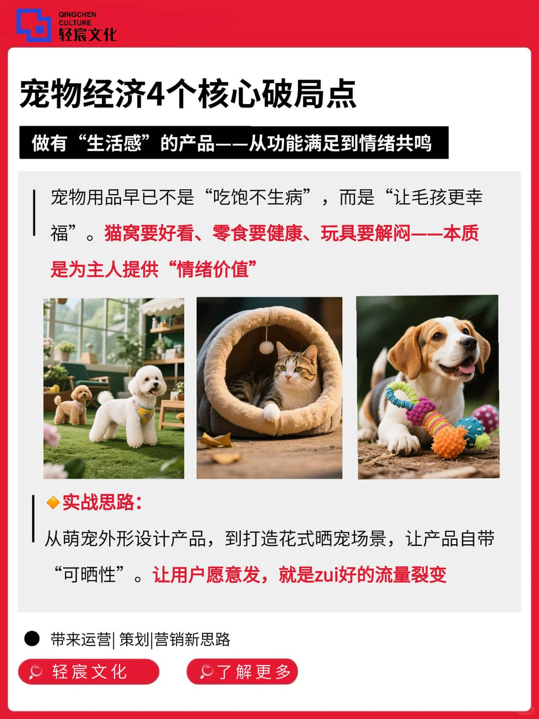 宠物经济爆发?产业布局到开店实操全讲透