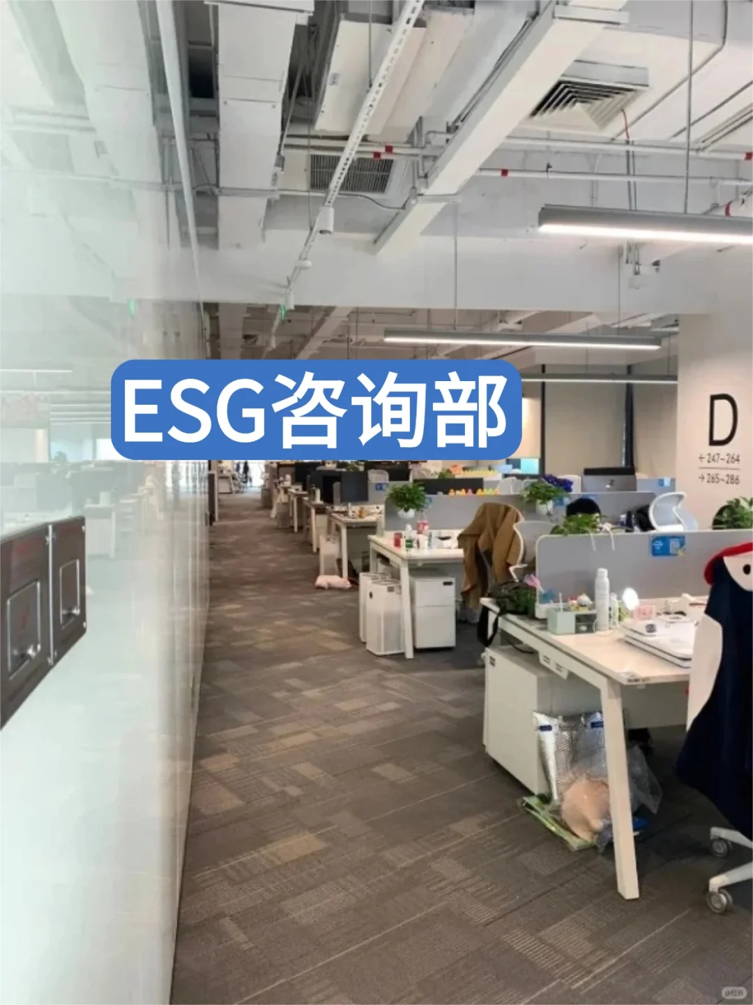 给大家普及一下ESG岗需要达到的强度