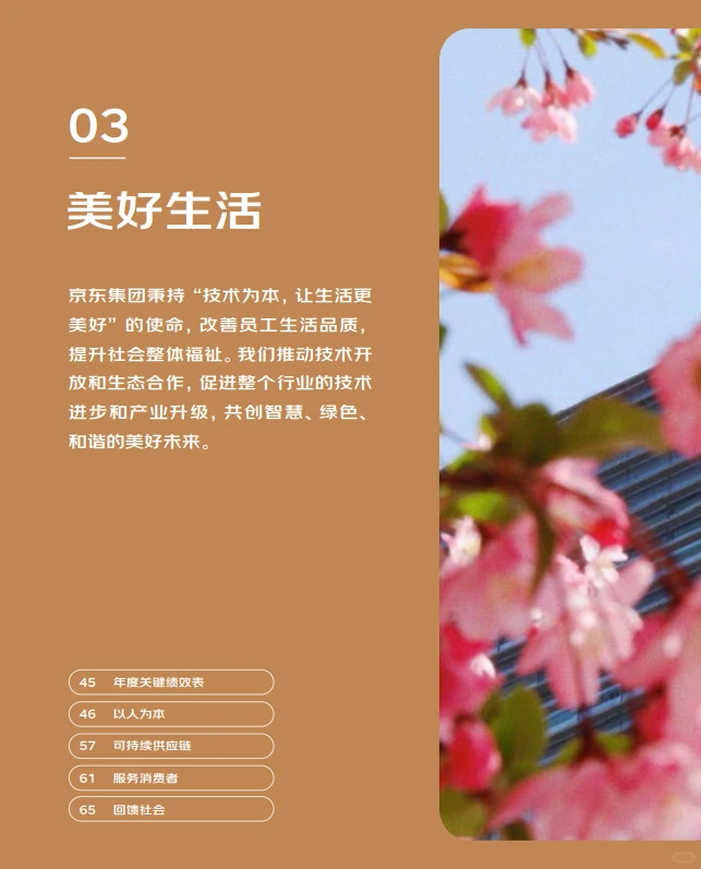 京东发布ESG报告,中国企业出海有什么启示?