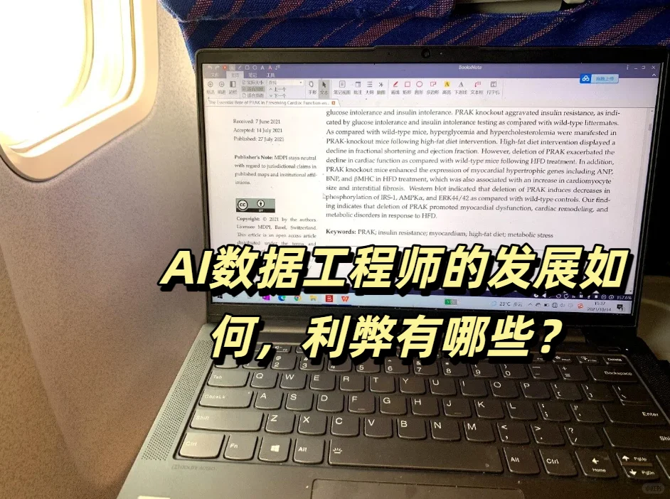 AI数据工程师的发展如何,利弊有哪些?