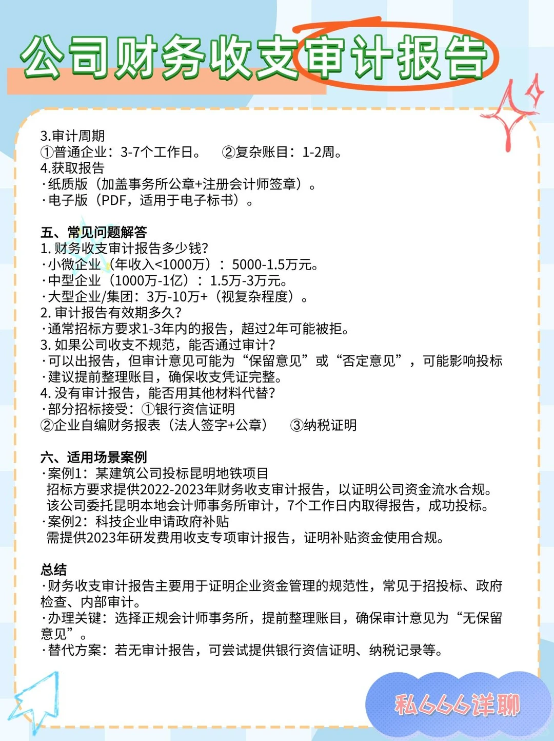 公司财务收支审计报告