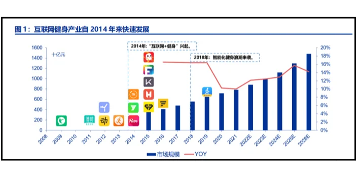 KEEP品牌洞察分析报告（17份）