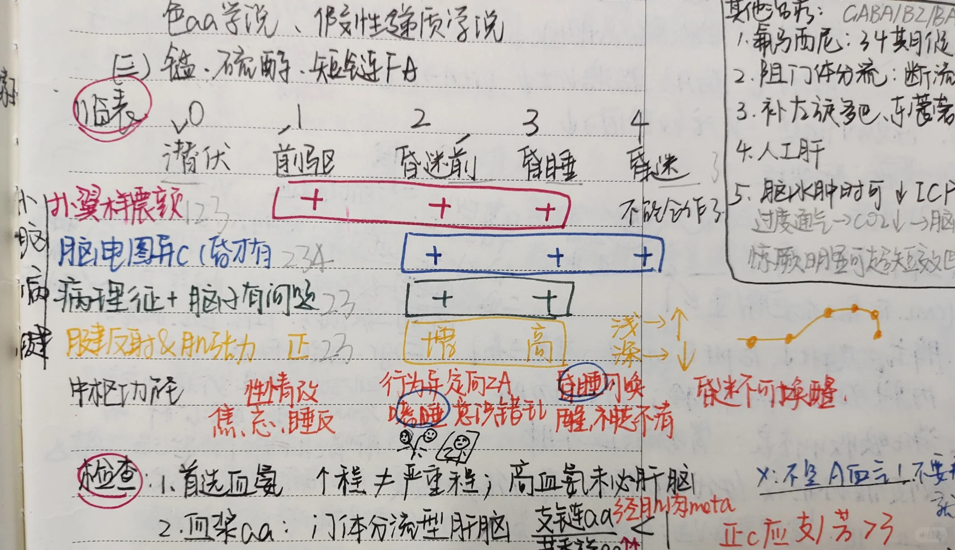 西综266:正式介绍我的真正王炸