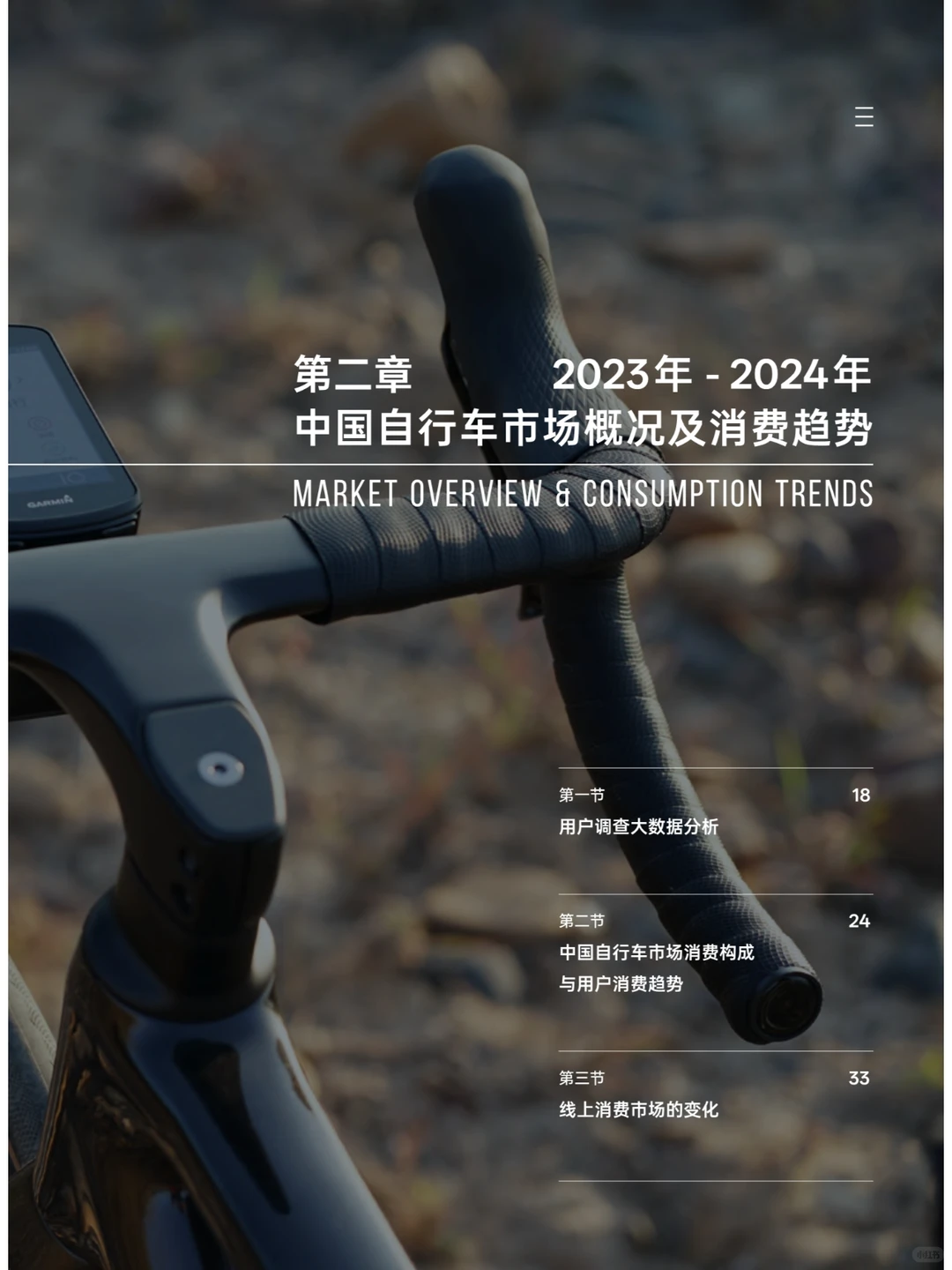 2024年中国自行车行业调查报告