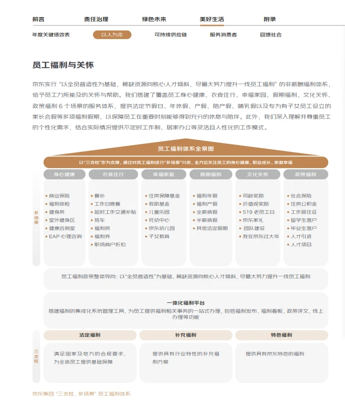 京东发布ESG报告,中国企业出海有什么启示?