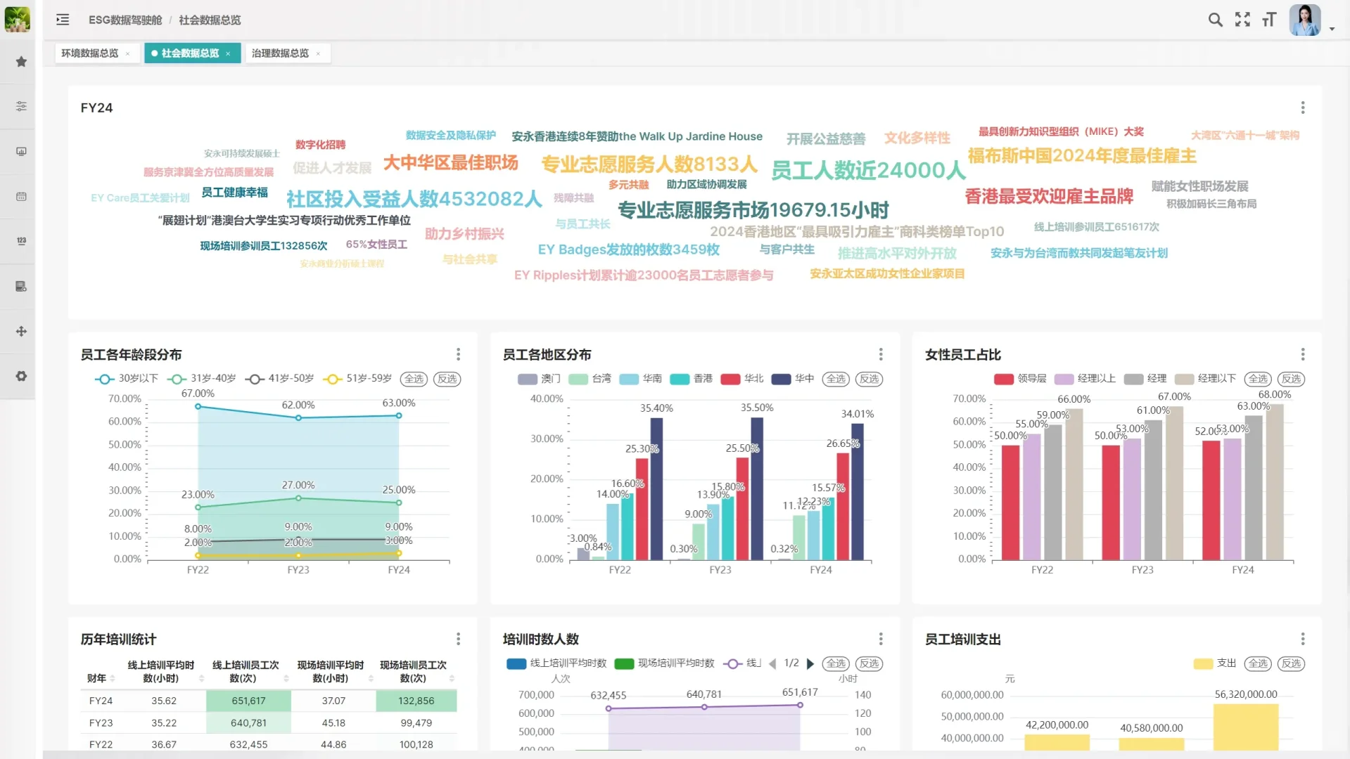 开眼了，安永的 esg 报告还能这么玩