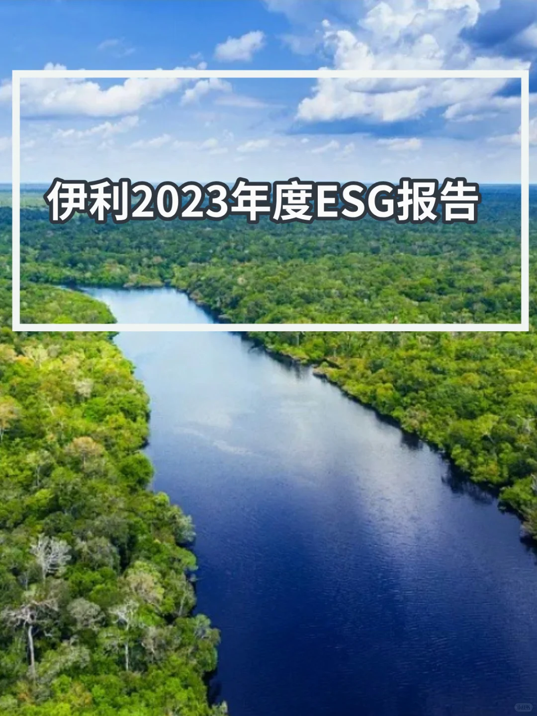 企业ESG案例与报告