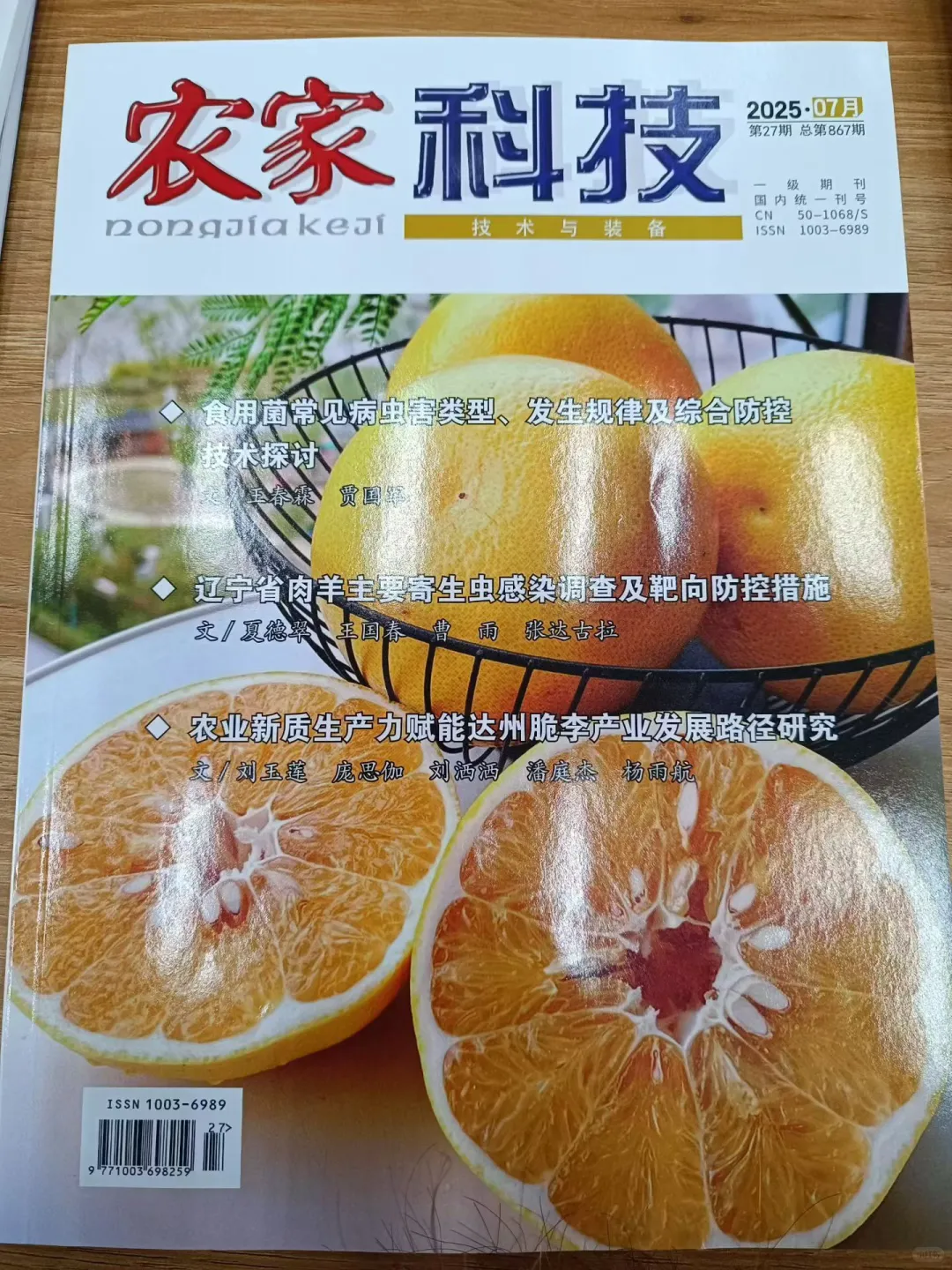 《中国食品工业》国家级知网5000字符3版2