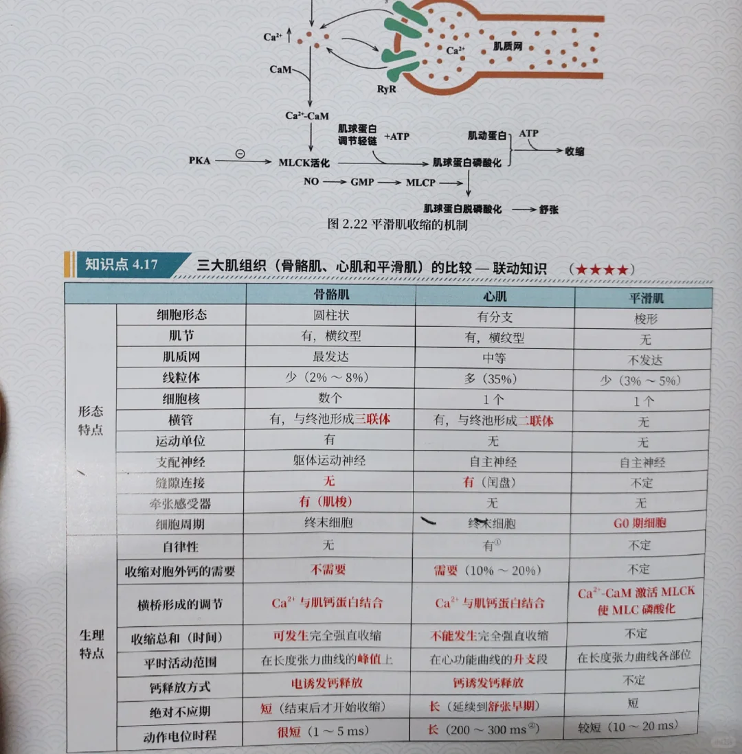西综266:正式介绍我的真正王炸