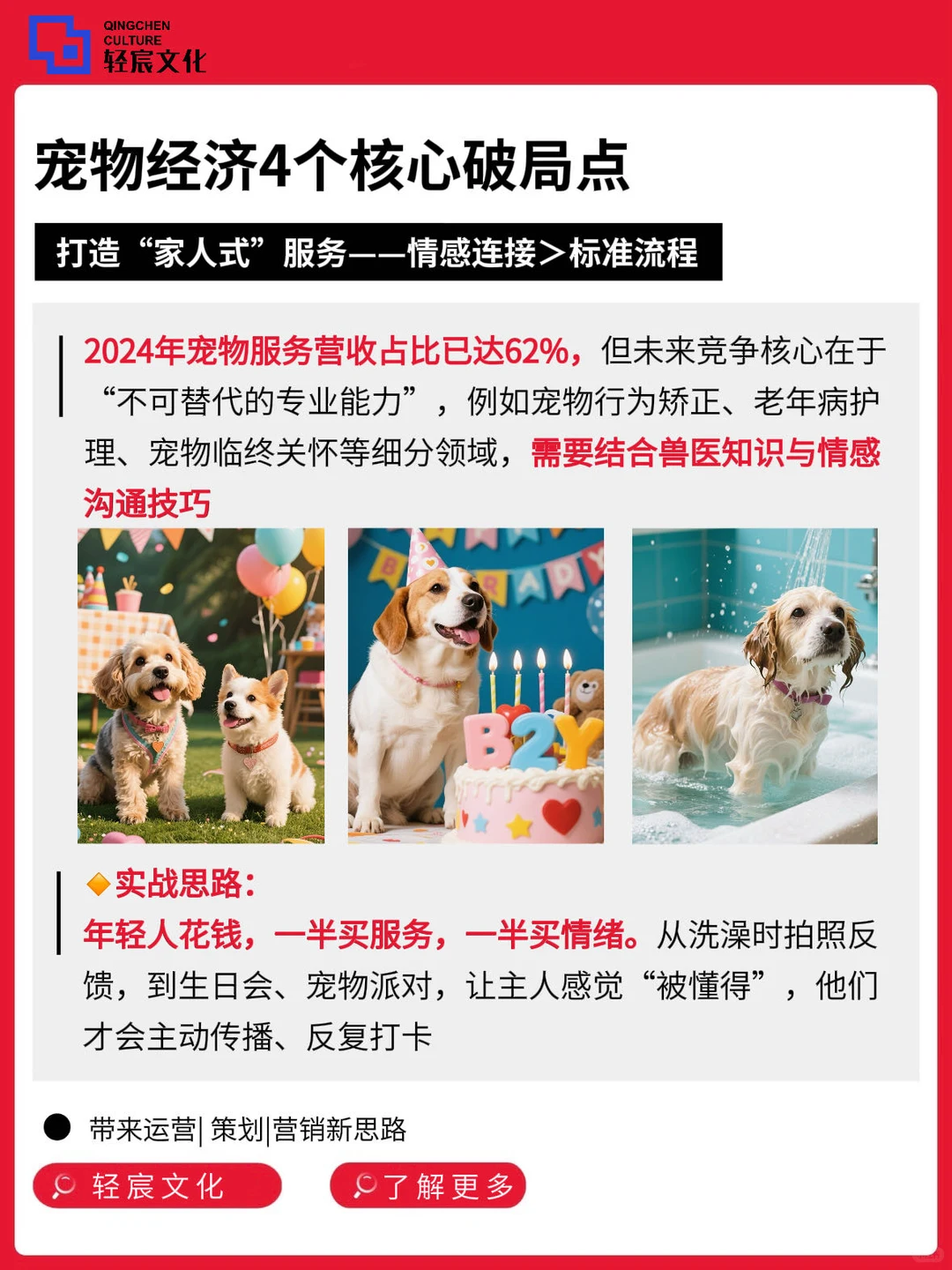 宠物经济爆发?产业布局到开店实操全讲透