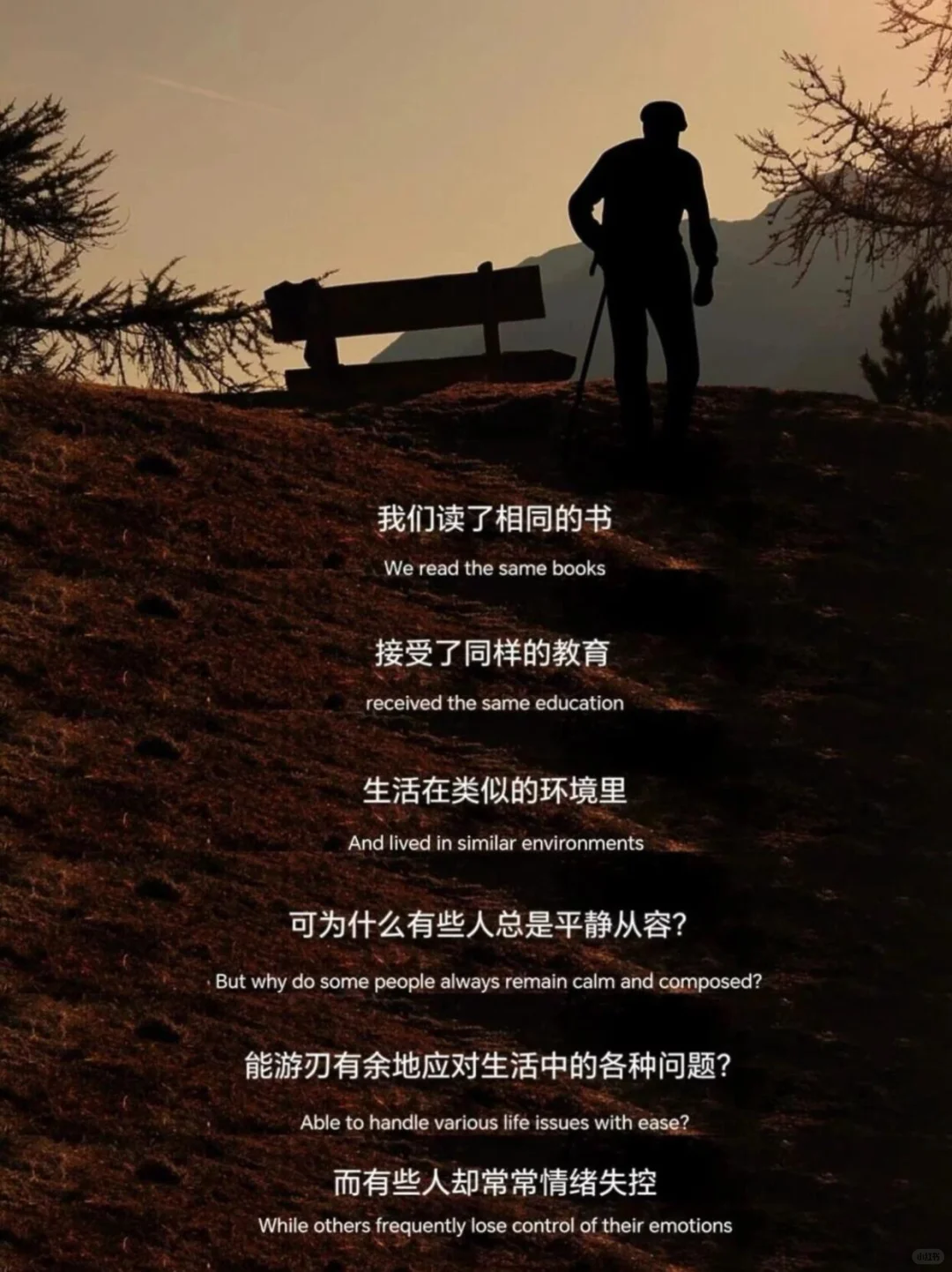 为什么阅历比智商更能决定你的情绪格局?