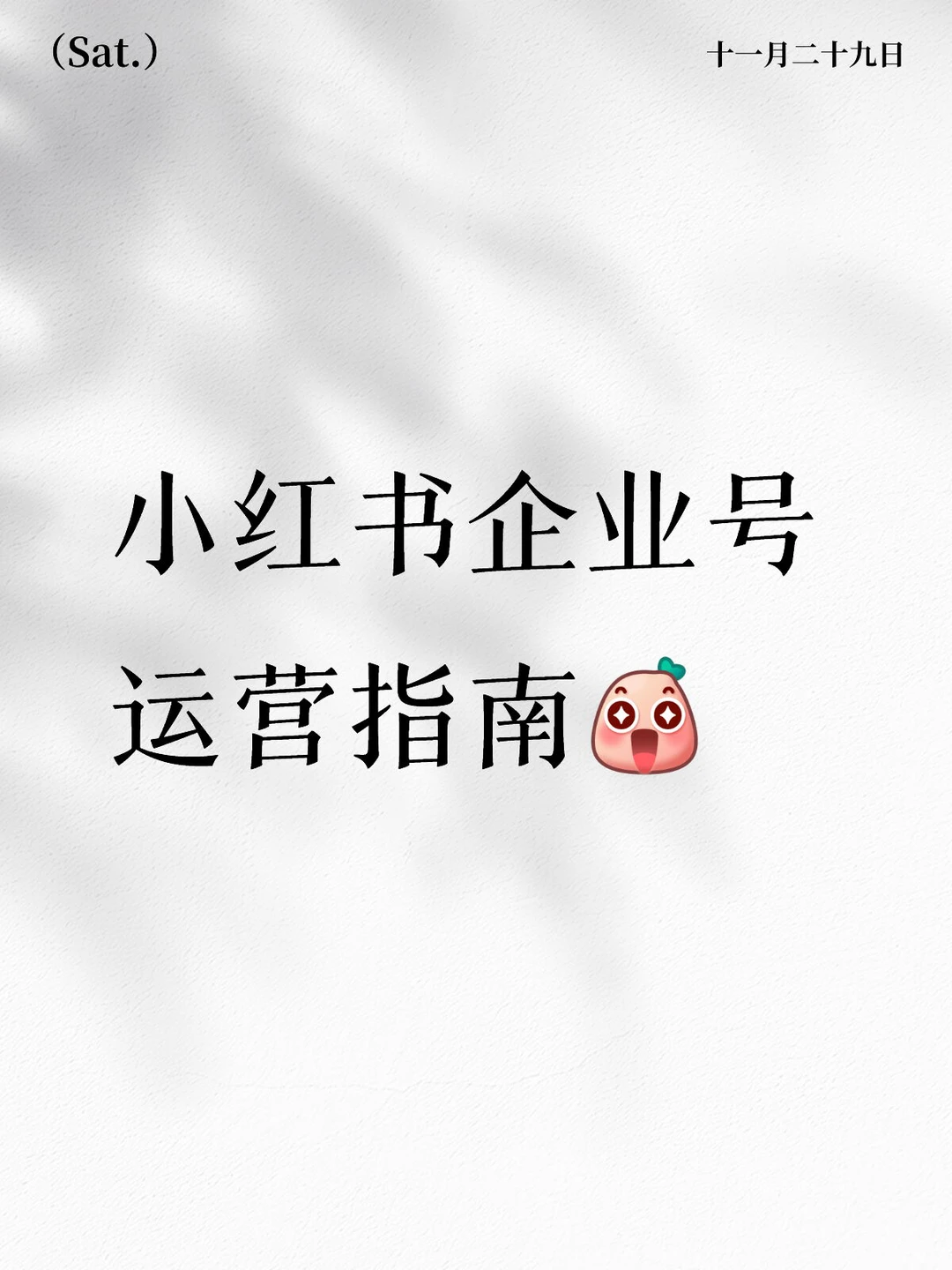 小红书企业号运营指南