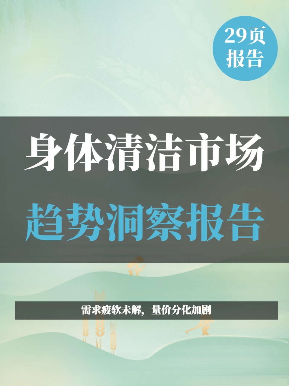 身体清洁市场趋势洞察报告