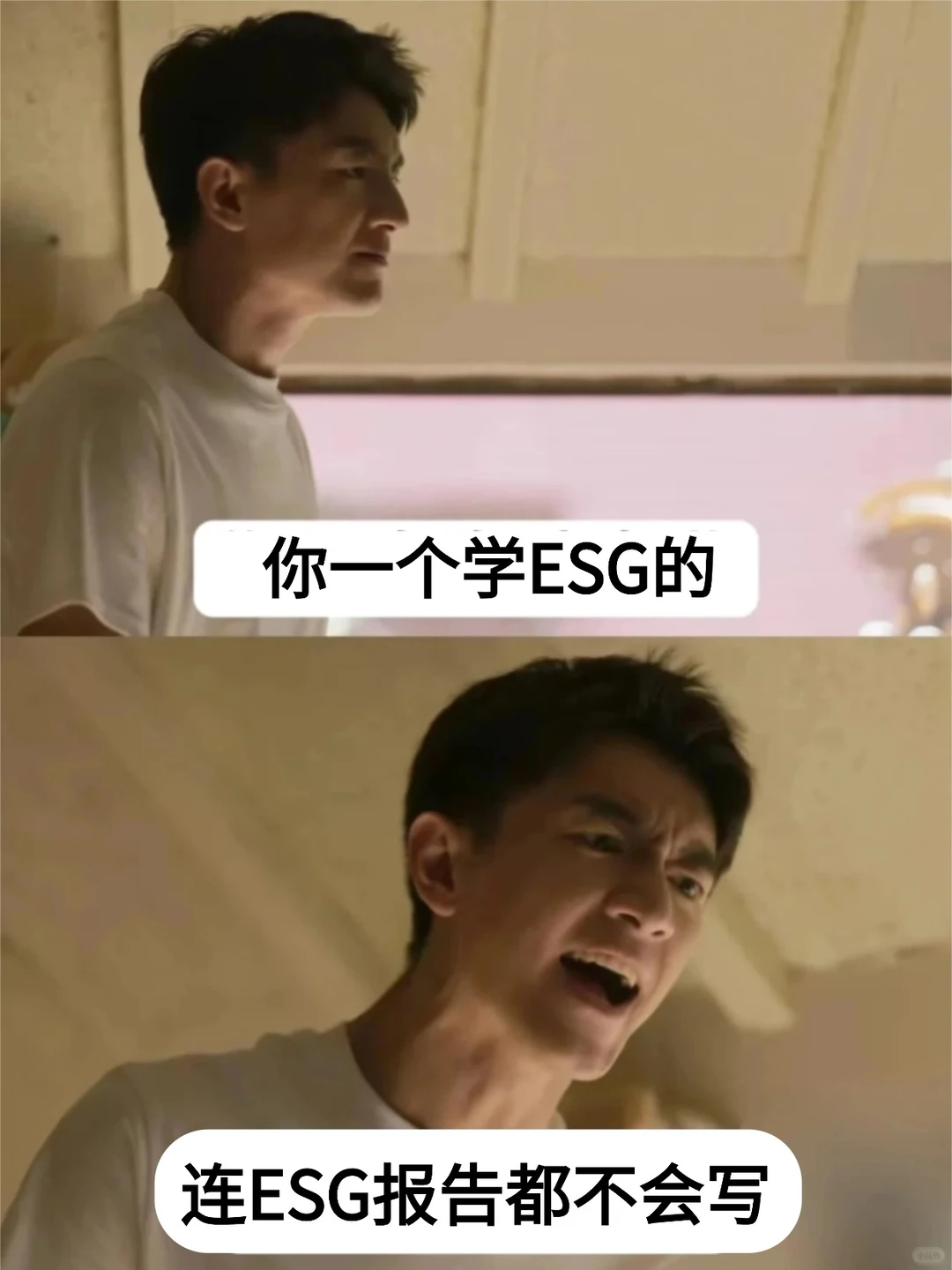 公司来了一个半吊子ESG,太无语啦