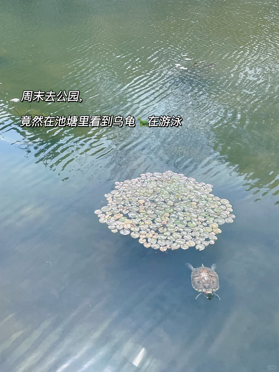 黑科技!5分钟搞定行业宏观分析还被领导夸