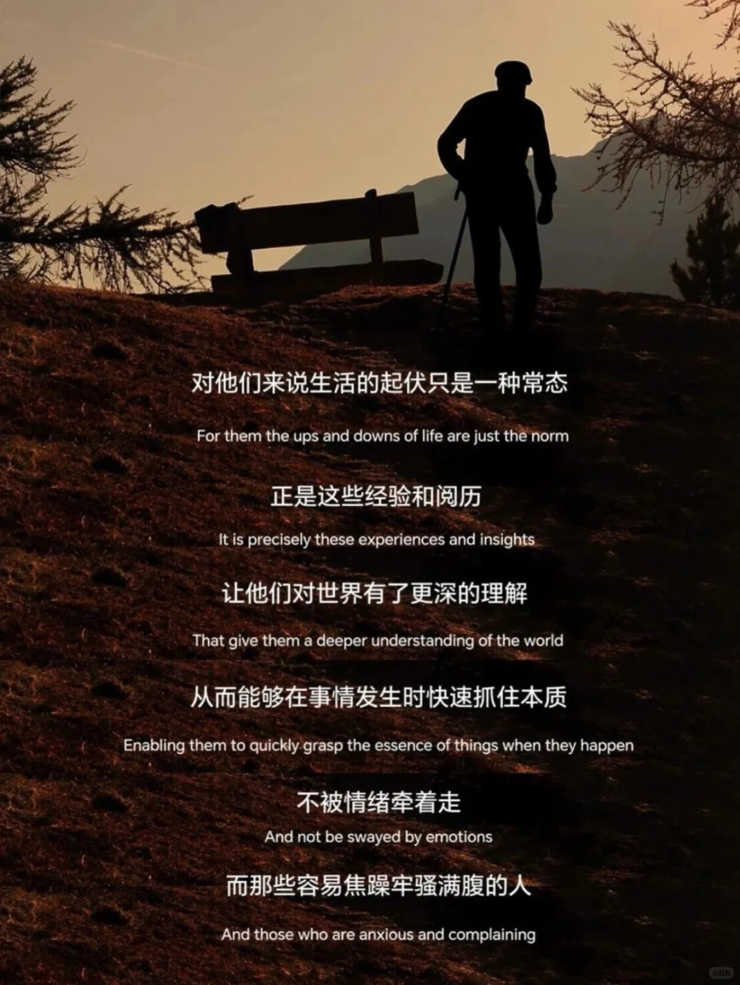 为什么阅历比智商更能决定你的情绪格局?