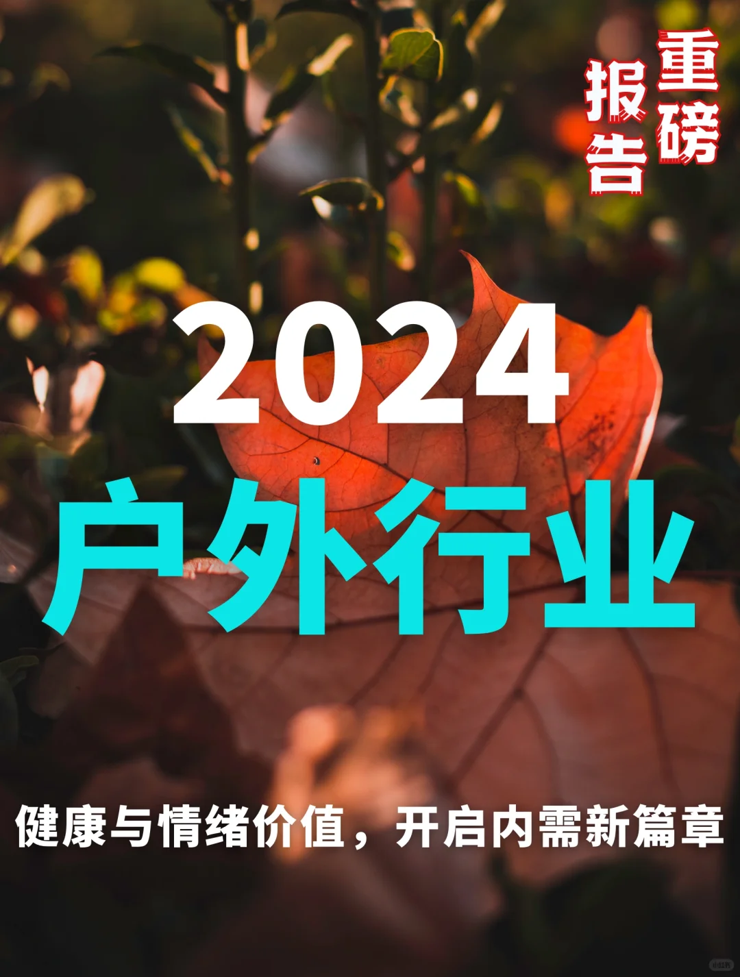 27页报告|2024户外行业洞察报告