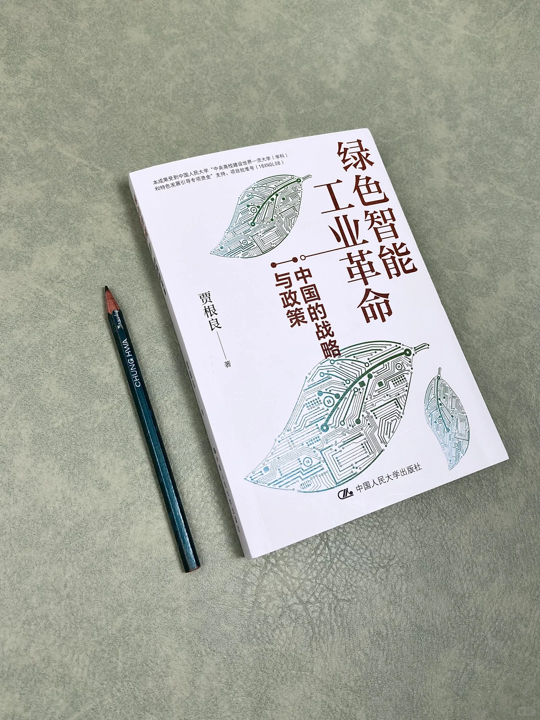 真香!吃到政策红利全靠这本书