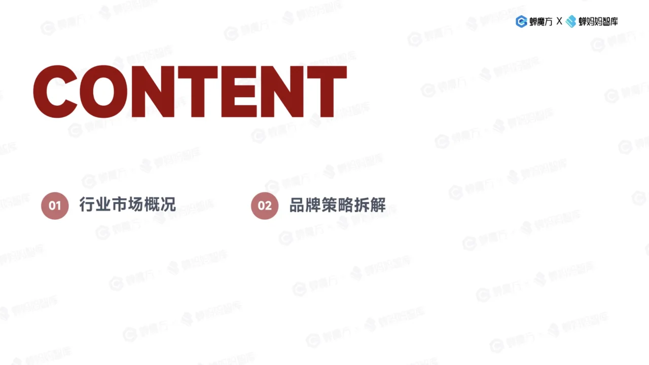 2024韩束品牌拆解报告