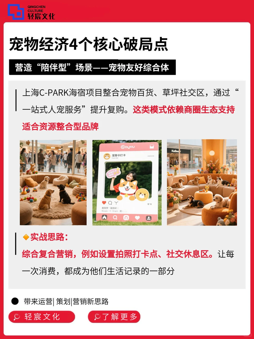 宠物经济爆发?产业布局到开店实操全讲透