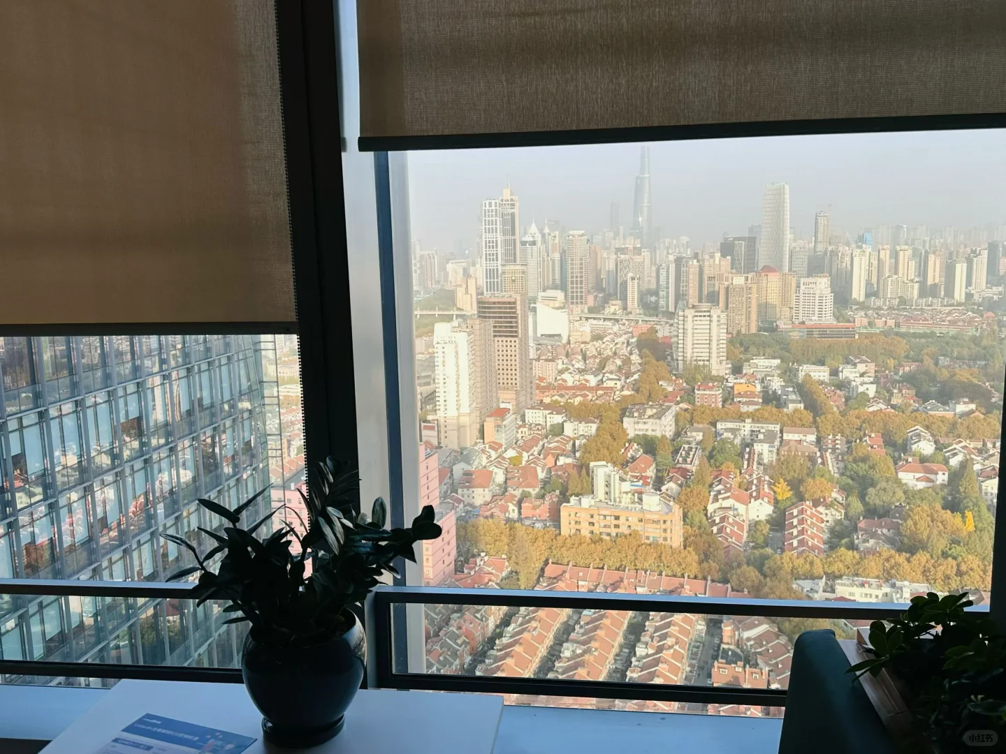 海外出海营销，我有话要说～