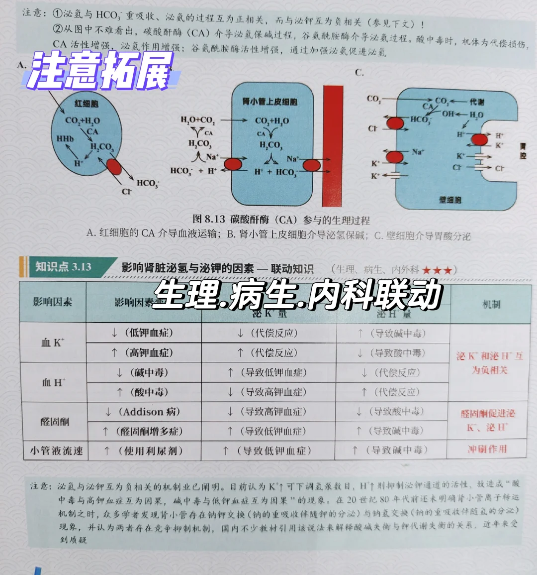 西综266:正式介绍我的真正王炸