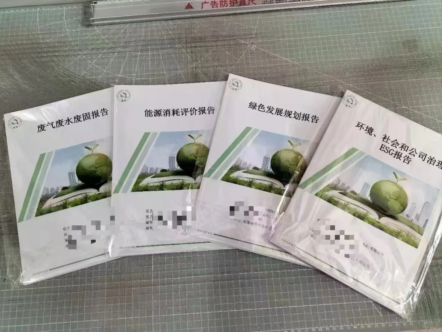 ESG(环境、社会、公司治理)报告。