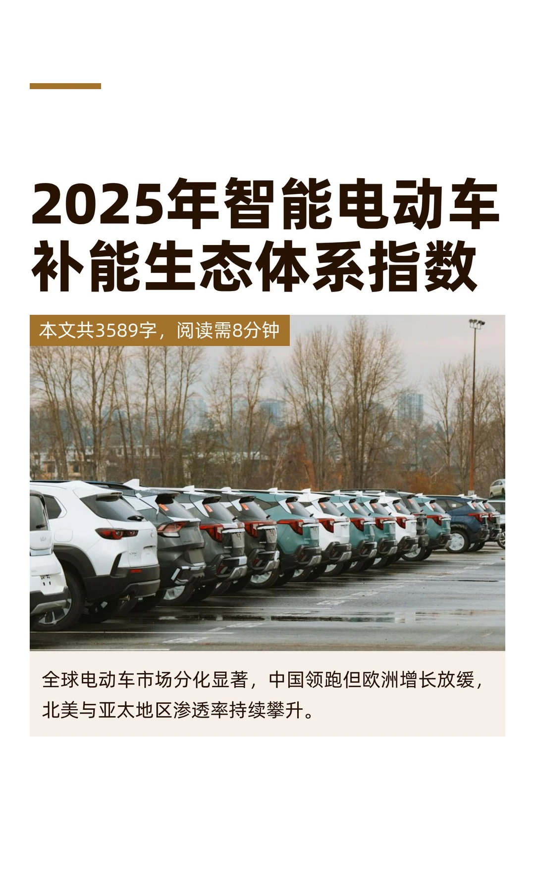 2025年智能电动车补能生态体系指数