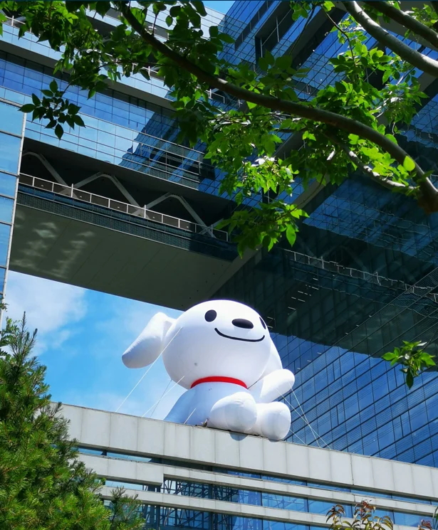 京东发布ESG报告,中国企业出海有什么启示?