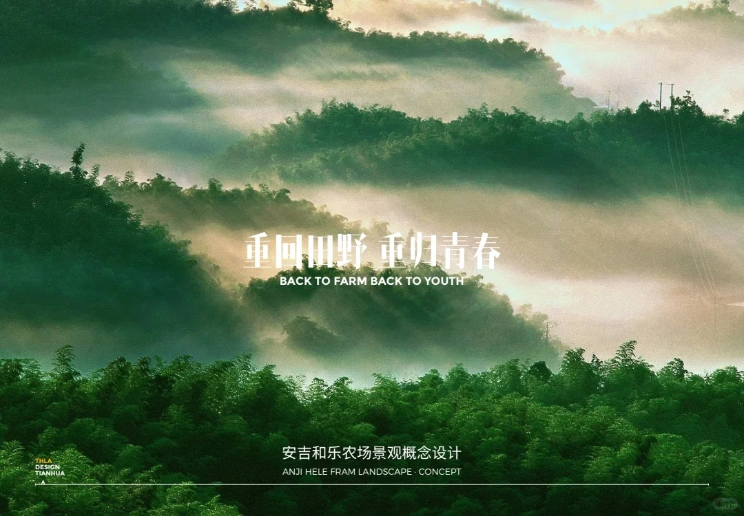 2025户外营销策略 重回田野重归青春