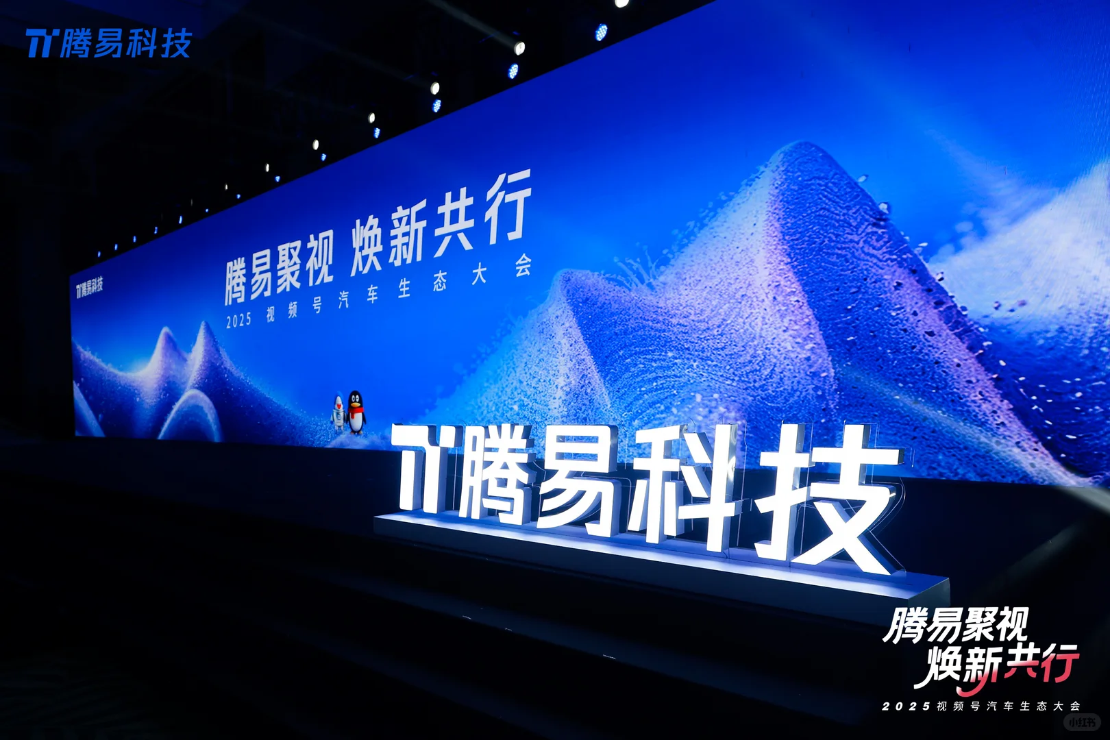 视频号或在重塑内容生态新格局？