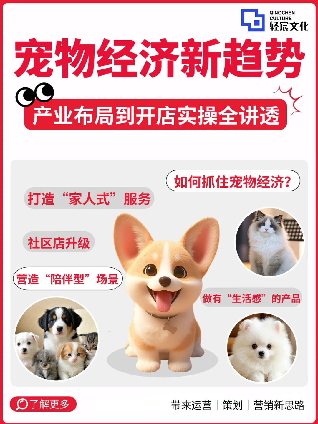 宠物经济爆发?产业布局到开店实操全讲透
