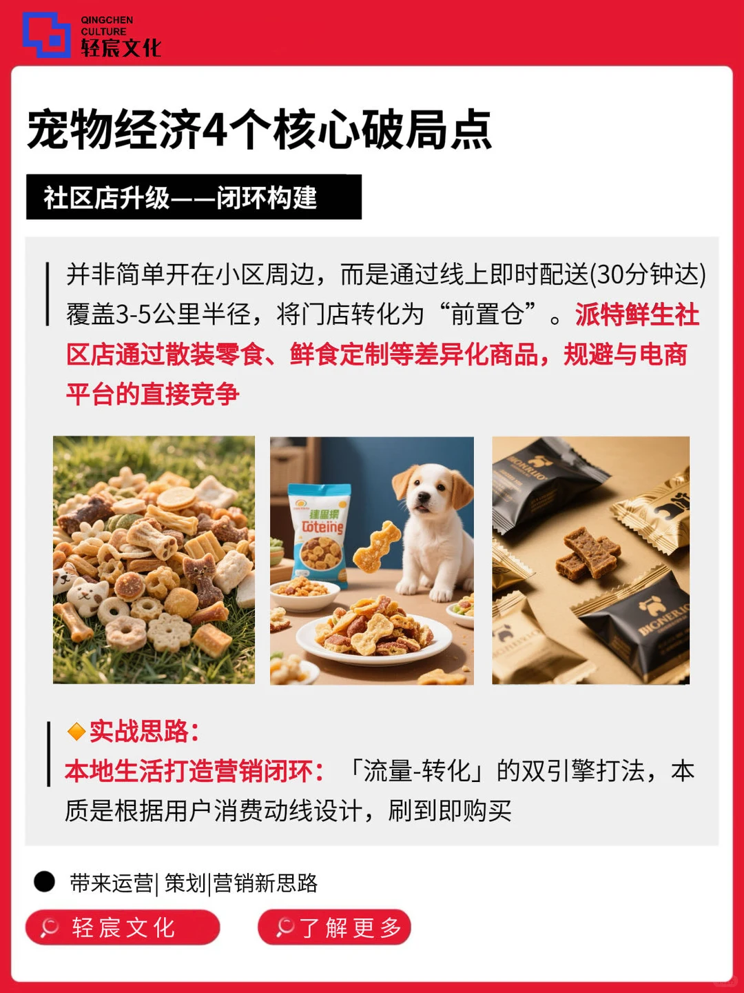 宠物经济爆发?产业布局到开店实操全讲透