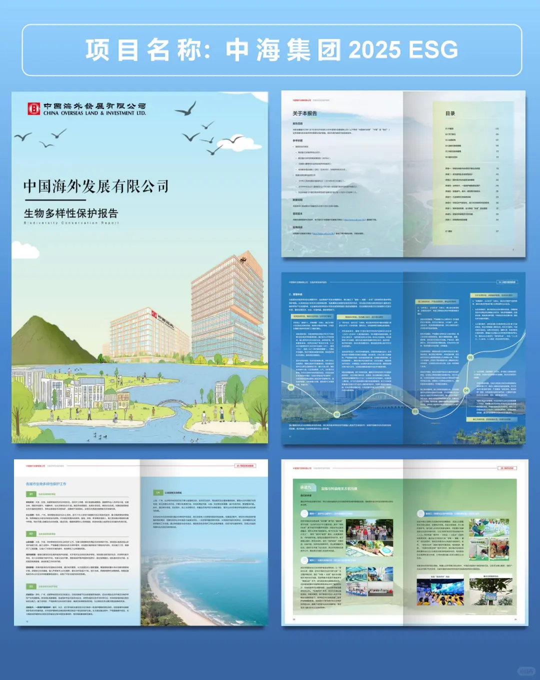 中海集团2025年ESG社会责任报告设计分享