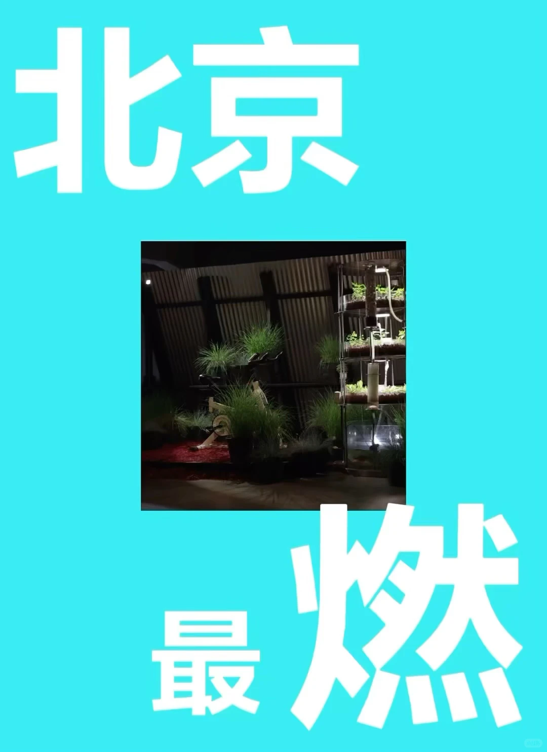 这个冬天最「燃」的艺术与科技现场要来了!