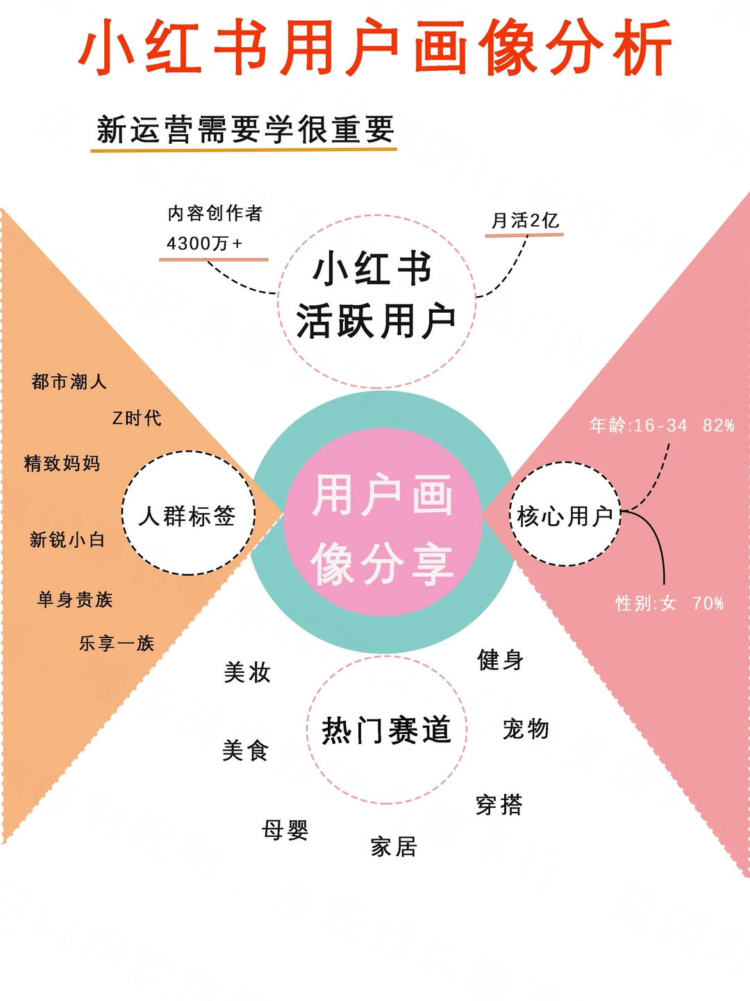 小红书用户画像分析