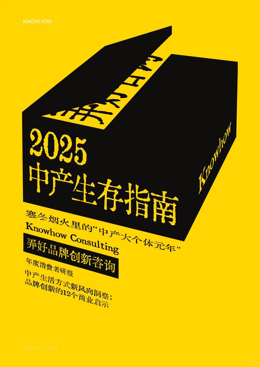 2025年中产生活方式新风向洞察